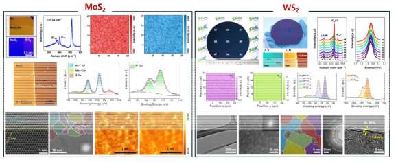 TMDCs (MoS2, WS2) 박막 특성 분석 – Raman, PL, XPS, TEM