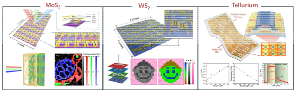 2차원 소재(MoS2, WS2) 기반 어레이 이미지 센서 구현, 준 2차원 소재(Te) 광 트랜지스터 구현