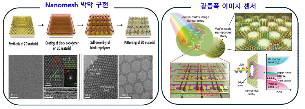 나노메쉬 구조의 TMDCs 박막 구현 및 광증폭 이미지 센서 개발