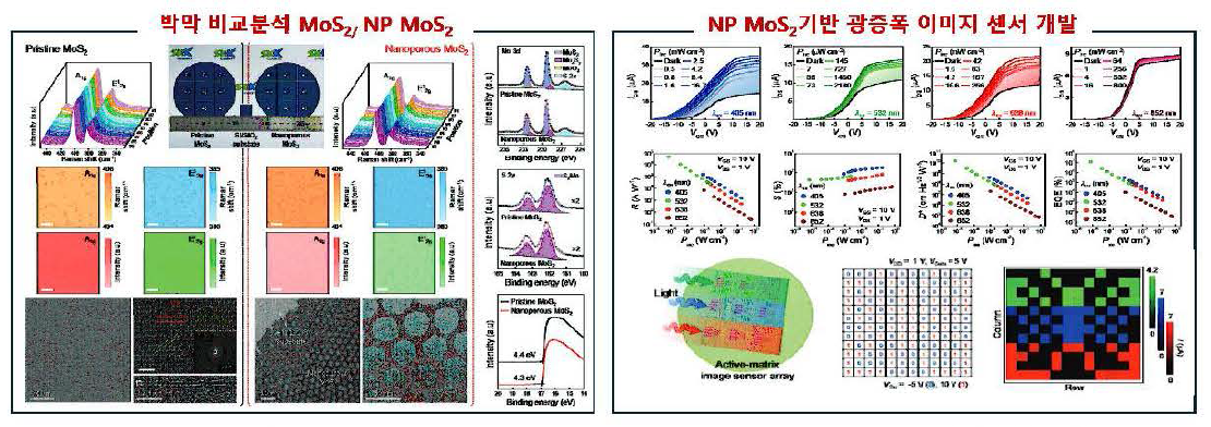 대면적 MoS2 박막 특성 비 교분석과 Nanome sh MOS2 기반 광증폭 이머지 센서 개발