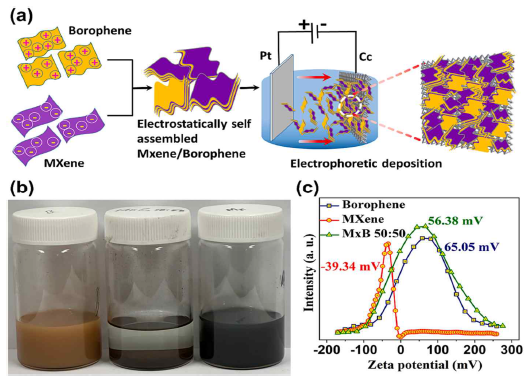 (a) Schematic of the electrode fabrication process of the MxB hybrids. (b) Digital photographs of the Borophene (left), MxB 50:50 (middle), and MXene (right) suspensions, and (c) Zeta potential spectra of the Borophene NSs, MXene NSs, and MxB 50:50