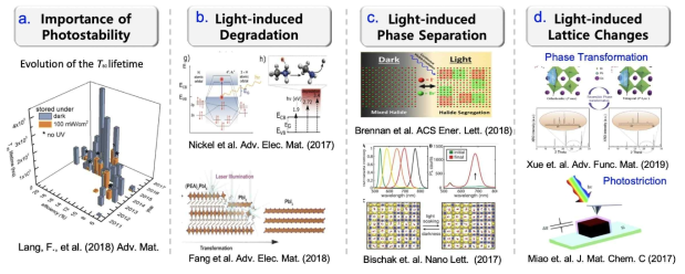 (a) 빛이 없는 상황에 비해, 빛이 조사되고 있는 상황에서 안정성이 매우 떨어진다는 보고. (b) 빛의 조사에 의해 발생하는 페로브스카이트의 분해 및 열화. (c) 할라이드 혼합페로브스카이트의 경우 발생하는 빛으로 유도되는 가역적 상분리 현상. (d) 빛의 조사를 받고 있을 때 발생하는 상전이현상과 광변형 현상 (Photostriction)