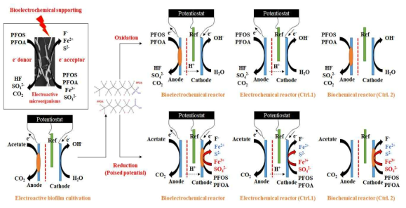 연구의 실험 수행 방법 (Bioelectrochemical anaerobic chemostats system)