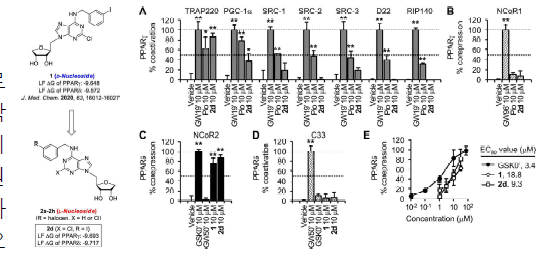 PPARγ 부분효능/PPARδ 길항의 이중 조절 분자촉발사건 연구(Nguyen & An et al., 2022 ACS Med. Chem. Lett.)