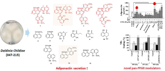 지의류 내생곰팡이 Daldinia childiae 유래 신규 pan-PPAR 및 RXRα 다중 핵수용체 조절제 연구(Kim & Ko et al., 2022 J. Nat. Prod.)