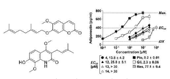 상산나무 유래 신규 PPARγ 효능약 연구(Nhoek & Ahn et al., 2023 J. Nat. Prod.)