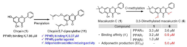 천연 플라보노이드 유도체의 중간엽줄기세포 표현형 조절 특성 연구(An et al., 2023 ACS Med. Chem. Lett.; Ko et al., 2023 Biomol. Ther.)