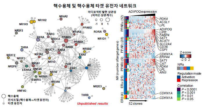 지방세포 분화 표현형의 단일세포 전사체 메타분석 결과(An et al., 2023 J. Chem. Inf. Model.)