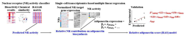 화합물의 아디포넥틴 분비 표현형 예측을 위한 기계학습 모델 구성도