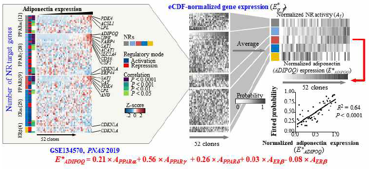 생물정보학 기반 아디포넥틴 생합성 표현형 발현에 대한 핵수용체의 기여도 정량화(An et al., 2023 J. Chem. Inf. Model.)