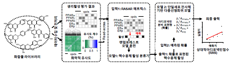 RASAR 분석 플랫폼 및 이를 활용한 아디포넥틴 분비 표현형 예측 기계학습 모델 모식도(An et al., 2023 J. Chem. Inf. Model.)