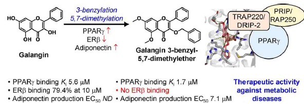 Galangin 유도체의 PPARγ 부분효능약 특성 및 아디포넥틴 분비 촉진 효과 규명 연구 결과(Ko et al., 2022 Bioorg. Med. Chem.)