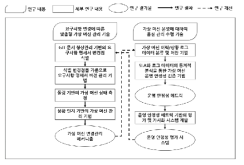 3차년도 연구 수행 과정