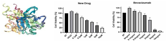 후보 물질 1의 구조와 기존의 anti-VEGF 치료제와 후보 물질의 농도에 따른 효능