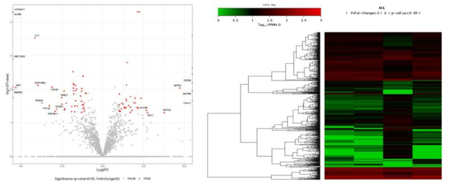 Target A Volcano plot (log2-fold change) 과 Heat map of gene expression