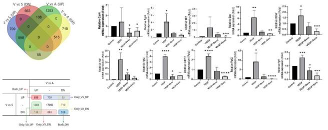 Target A와 이전 Anti-VEGF(Bevacizumab) 과 작용에 통계적으로 유의한 차이를 보인 gene validation