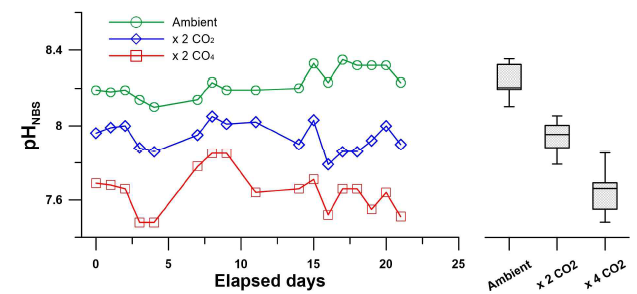 현장 해수의 pH(ambient) 및 CO2 포화 해수를 주입하여 조성한 해양산성화 조건의 pH의 변동성. 실험 기간동안 모니터한 pH 값(좌)과 전체 기간동안 측정된 pH의 상자 수염 도표