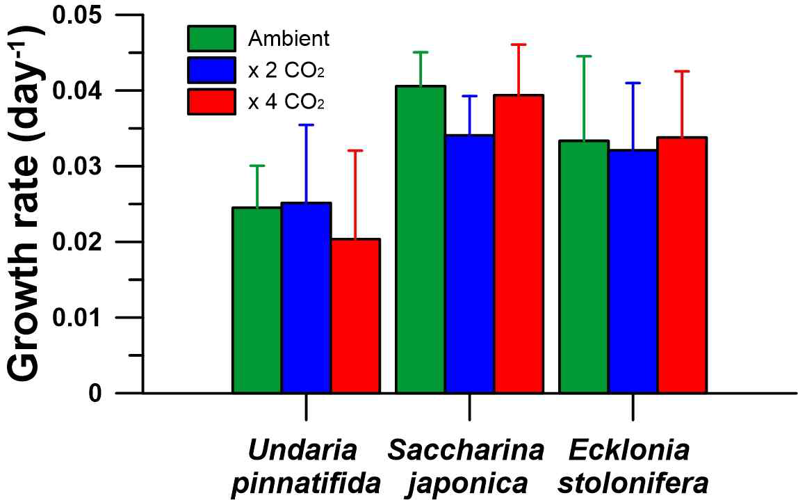 해양산성화 조건에서 세 종의 갈조류를 대상으로 4주 노출실험 후 측정된 길이 자료를 이용하여 계산한 성장률의 결과(mean ± sd)