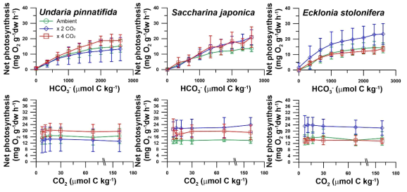 해양산성화 조건에서 세 종 갈조류(미역, 다시마, 감태)의 무기탄소 농도(중탄산염, 상; 이산화탄소, 하)에 따른 순 광합성률(mean ± sd)