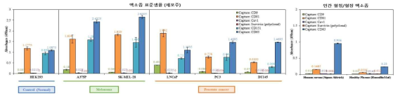 각 세포주에 대한 엑소좀 표준샘플과 인간혈청 특성화를 통한 마커 프로파일링 패턴