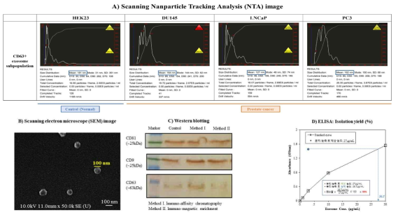 스위치성 가역반응 시스템을 이용하여 분리한 엑소좀 아집단의 순도 및 회수율 분석 결과 (A) NTA, (B) SEM, (C) Western blotting, (D) ELISA