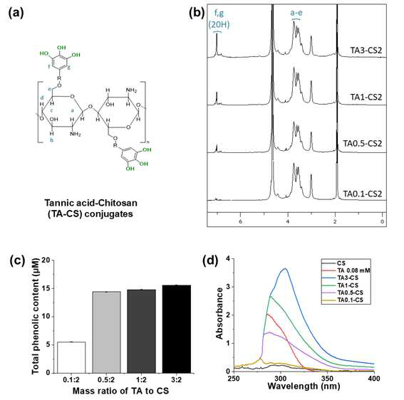 (a) TAx-CSy 접합체의 1H NMR 스펙트럼 (b) TAx-CSy 접합체의 정량화된 페놀 함량 (c) CS, TA 및 TAx-CSy 접합체의 UV-vis 흡수 스펙트럼