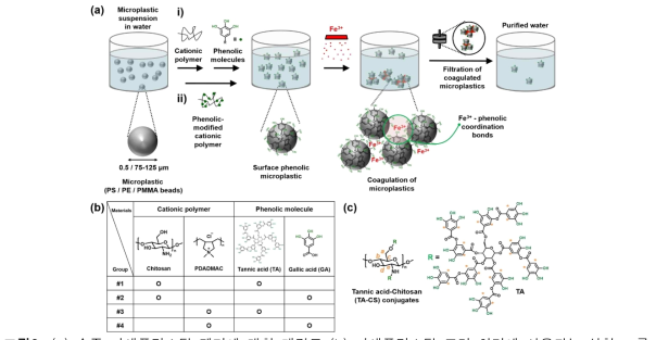 (a) 수중 미세플라스틱 제거에 대한 개략도 (b) 미세플라스틱 표면 처리에 사용되는 실험 그룹 (c) 단일 응고제로 기능하는 페놀성 개질 양이온 중합체로서의 탄닌산-키토산 접합체의 구조