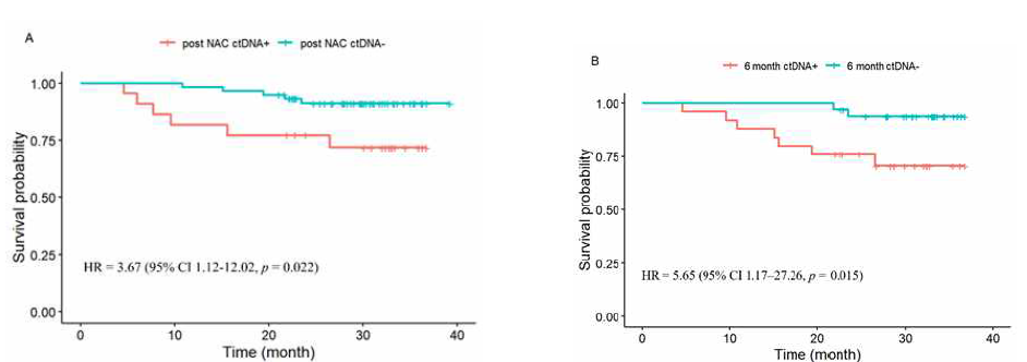 선행항암요법 후 - 수술 6개월 추적관찰 시점에서의 ctDNA 유무에 따른 생존분석