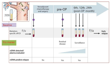 연구 참여 환자들의 ctDNA 모니터링 계획