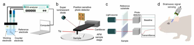 바이오전극의 특성 분석 (a)Electrochemical Impedance Spectroscopy (EIS), (b) Atomic Force Microscopy (AFM), (c) 투과도 측정 (d) 생체 내 신호 측정 개념도