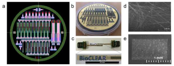 생체이식형 유무기 하이브리드 투명 바이오전극의 개발 및 제작 (a)설계도, (b)제작된 4인치 웨이퍼, (c)바이오전극과 일반 금속 전극의 비교 사진 및 확대 사진, (d)spin coating을 통해 안정적으로 형성된 이중층 구조, (e)COP 기반의 보호층
