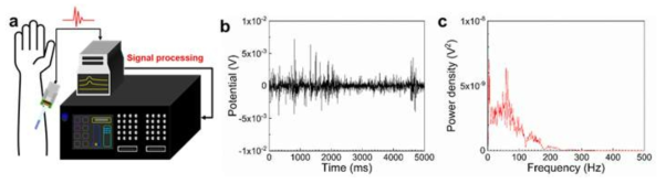 투명 유연 바이오전극을 이용한 (a)인체 근전도 측정 실험의 모식도, (b)검출된 생체 신호, (c)신호 분석을 통해 도출된 PSD 결과