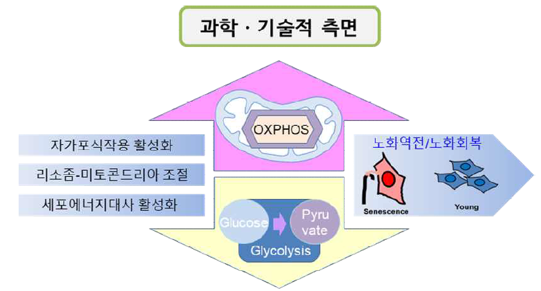 과학⋅기술적 측면