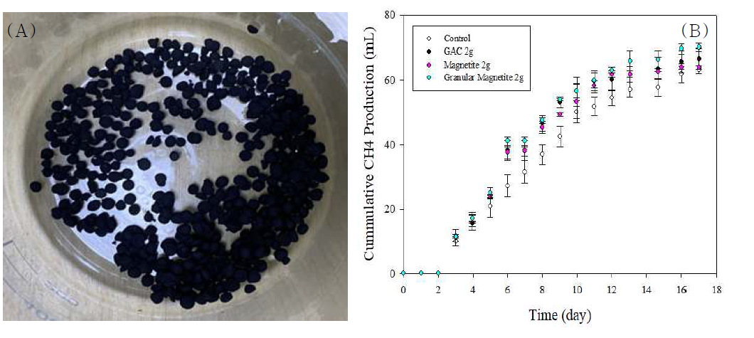 (A) Magnetite bead 형성, (B) 형성된 Bead를 활용한 메탄생성 발생량