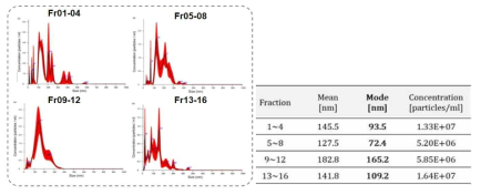 Nanoparticle tracking analysis를 이용한 qEV column의 fraction별 엑소좀 크기 확인