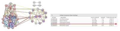 qEV column으로 분리한 방수 내 엑소좀의 단백질-단백질 네트워크 및 Gene ontology 분석