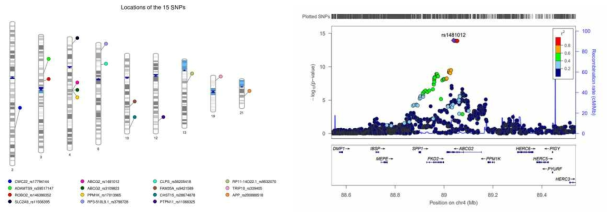 통풍 관련 발굴된 15개 SNP(좌)과 Regional plot (우)