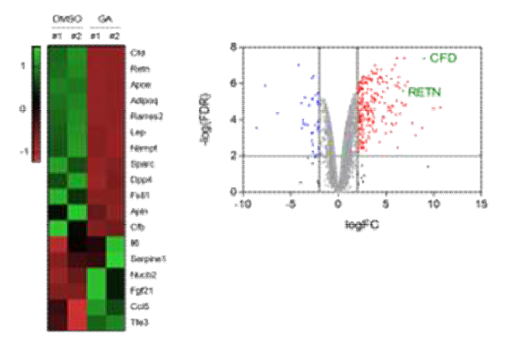 지방세포에서의 TRAP1 억제시 RNAseq 분석 결과