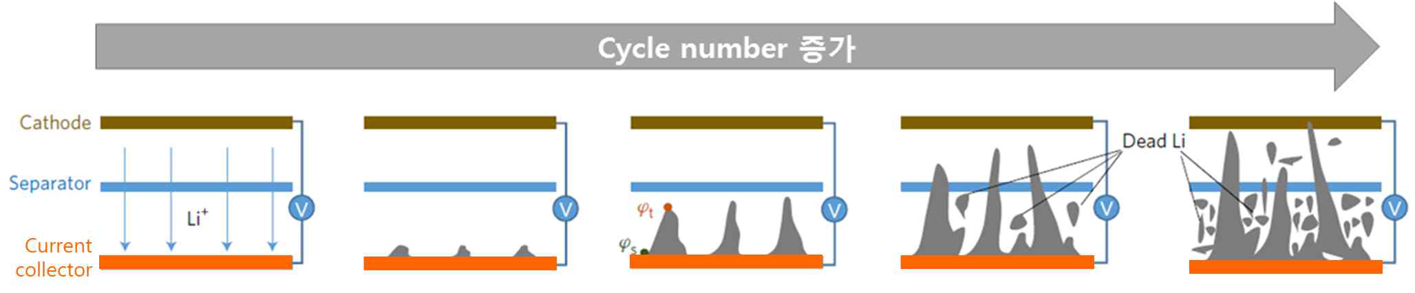 충/방전 사이클 증가함에 따라 Li metal anode에서 dendrite 성장 모식도 [1]