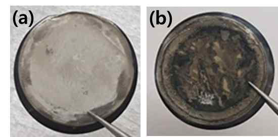 Pure 금속 코팅된 집전체 (a) 1 cycle 후 (b) 10 cycle 후