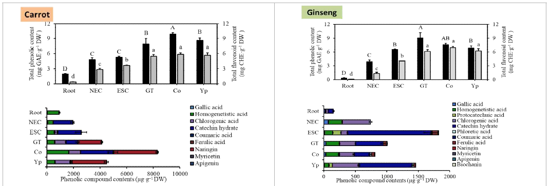 당근과 인삼 체세포배발생 과정에서의 페놀화합물 함량 분석