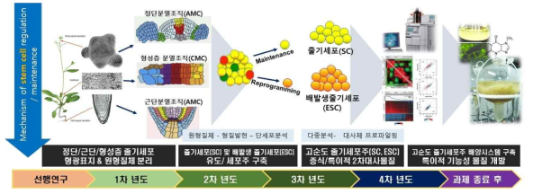 본 연구과제의 추진전략