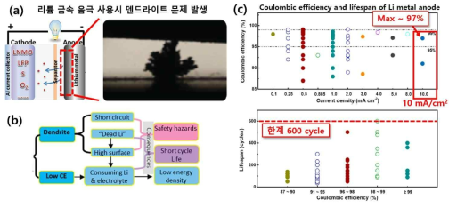 (a-b) 리틈 금속 전지의 덴드라이트 형성 문제와 이에 따른 전지성능 저하 문제 (Ref 1,2). (c) 쿨롱 효율과 전류밀도에 따른 수명과 쿨롱효율 (Ref 3)