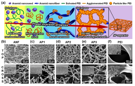 (a) 에탄올-물 2 step 침지를 활용한 유도자기조립과 상 반전 공동조립 기반 고표면적 및 다공성의 복합 분리막의 제조. (b-f) 아라미드 나노 섬유와 폴리에테르이미드의 함량 변화에 따른 표면 및 단면 FE-SEM 이미지
