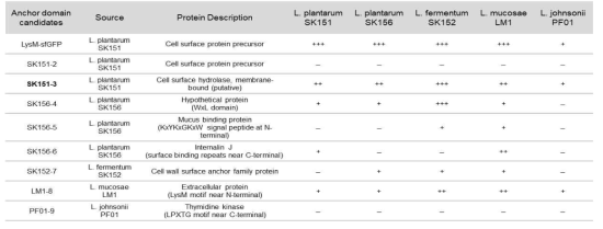 Surface display of GFP-fusion proteins on various kinds of lactic acid bacteria.