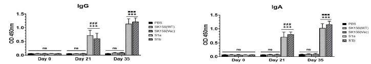 SARS-CoV-2 항원이 발현된 L. plantarum SK156을 급여한 마우스의 항체 생성(ANOVA test, *p < 0.01, **p < 0.001; ***p < 0.0001)