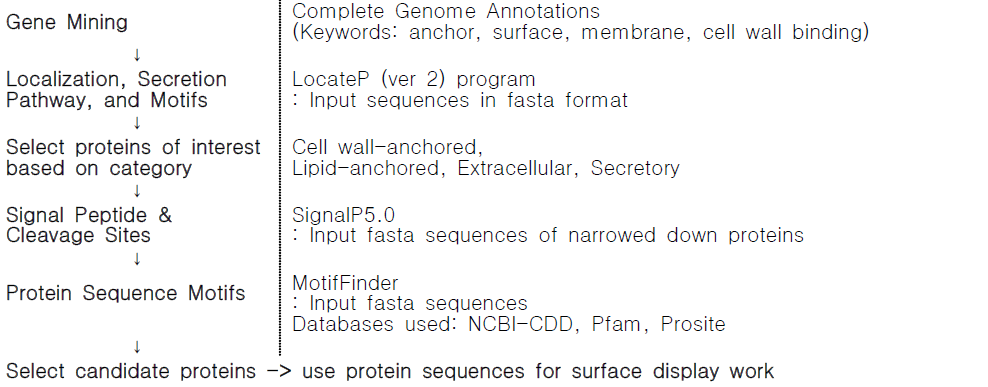 Workflow for the mining of cell surface proteins from probiotic Lactobacillus spp