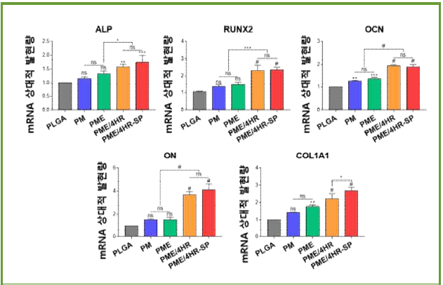 지지체에서의 골형성관련 유전자 발현 평가