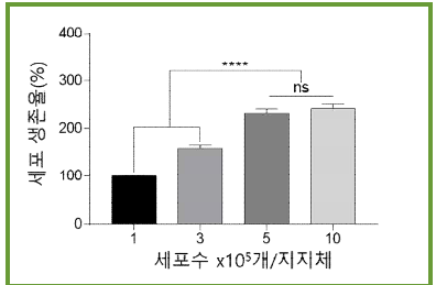 고기능성 PLGA 지지체의 지방유래 중간엽 줄기세포 담지능 평가