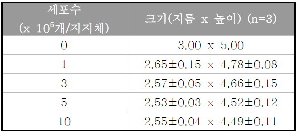 담지된 세포수에 따른 지지체의 수축 평가